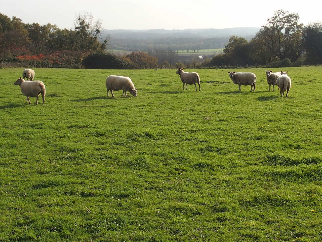Aucune photo pour cette étape.